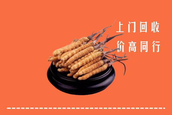 高价求购：满城区回收散虫草